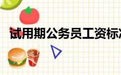 试用期公务员工资标准（公务员工资标准）