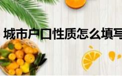 城市户口性质怎么填写（户口性质怎么填写）