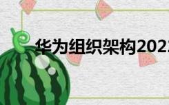 华为组织架构2022（华为组织架构）