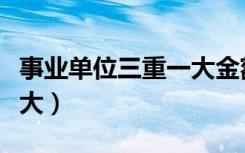 事业单位三重一大金额界定（事业单位三重一大）