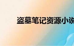盗墓笔记资源小说（盗墓笔记资源）
