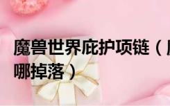 魔兽世界庇护项链（魔兽世界炽热链甲护肩在哪掉落）