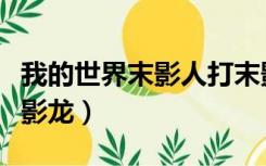 我的世界末影人打末影龙（末影人怎么变成末影龙）