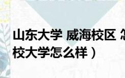 山东大学 威海校区 怎么样（山东大学威海分校大学怎么样）