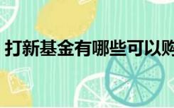 打新基金有哪些可以购买（打新基金有哪些）
