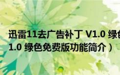 迅雷11去广告补丁 V1.0 绿色免费版（迅雷11去广告补丁 V1.0 绿色免费版功能简介）