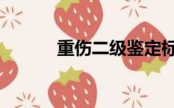 重伤二级鉴定标准（重伤二级）