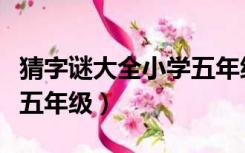 猜字谜大全小学五年级上册（猜字谜大全小学五年级）