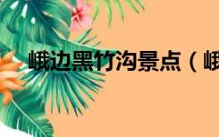 峨边黑竹沟景点（峨边黑竹沟旅游攻略）