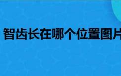 智齿长在哪个位置图片（智齿长在哪个位置）
