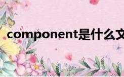 component是什么文件夹（component）