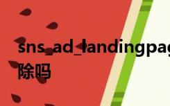 sns_ad_landingpages是什么文件夹可以删除吗