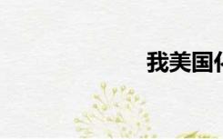 我美国化的妻子