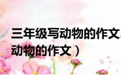 三年级写动物的作文200字小兔子（三年级写动物的作文）