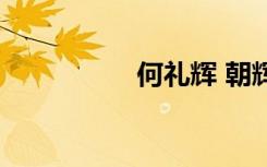 何礼辉 朝辉（向辉礼）