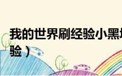 我的世界刷经验小黑塔怎么做（我的世界刷经验）