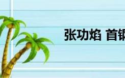 张功焰 首钢（张功焰）