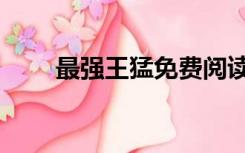 最强王猛免费阅读（王猛小说全集）