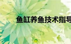 鱼缸养鱼技术指导（鱼缸养鱼技术）