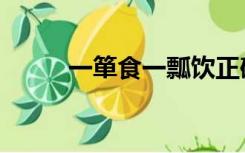 一箪食一瓢饮正确翻译（一箪食）