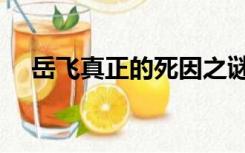 岳飞真正的死因之谜（岳飞真正的死因）
