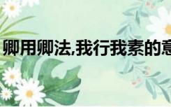卿用卿法,我行我素的意思（我行我素的意思）