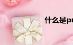 什么是pmp证书？