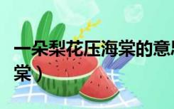 一朵梨花压海棠的意思是什么（一朵梨花压海棠）