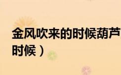 金风吹来的时候葫芦丝独奏C调（金风吹来的时候）