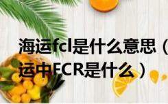 海运fcl是什么意思（FCR是什么意思 国际海运中FCR是什么）