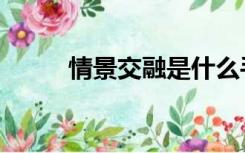 情景交融是什么手法（情景交融）