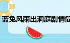 蓝兔风雨出洞庭剧情简介（蓝兔风雨出洞庭）