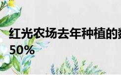 红光农场去年种植的数量比前年成活的树木多50%