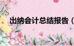 出纳会计总结报告（会计出纳工作总结）