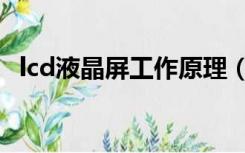 lcd液晶屏工作原理（lcd显示屏工作原理）
