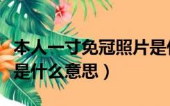 本人一寸免冠照片是什么意思（一寸免冠照片是什么意思）