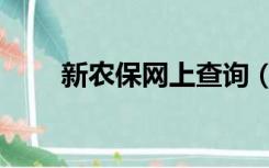 新农保网上查询（新农保查询系统）