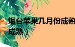 烟台苹果几月份成熟2021（烟台苹果几月份成熟）