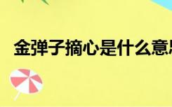 金弹子摘心是什么意思（摘心是什么意思）