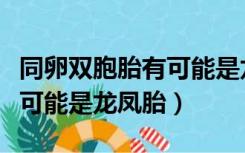 同卵双胞胎有可能是龙凤胎嘛（同卵双胞胎有可能是龙凤胎）