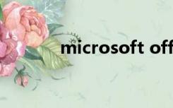 microsoft office的25位密码