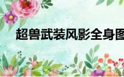 超兽武装风影全身图片（超兽武装风影）