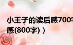 小王子的读后感700字左右（求小王子的读后感(800字)）
