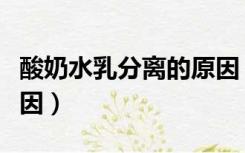 酸奶水乳分离的原因（酸奶水乳分离是什么原因）