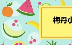 梅丹小说txt