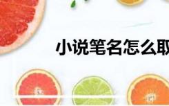 小说笔名怎么取（笔名怎么取）