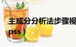 主成分分析法步骤视频（主成分分析法步骤spss）