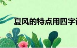 夏风的特点用四字词语（夏风的特点）