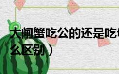大闸蟹吃公的还是吃母的（吃大闸蟹公母有什么区别）