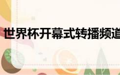 世界杯开幕式转播频道（世界杯开幕式直播）